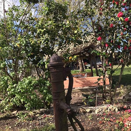 Villa Coco 9 Personnes Jardin Proche Beauval Lye Eksteriør billede