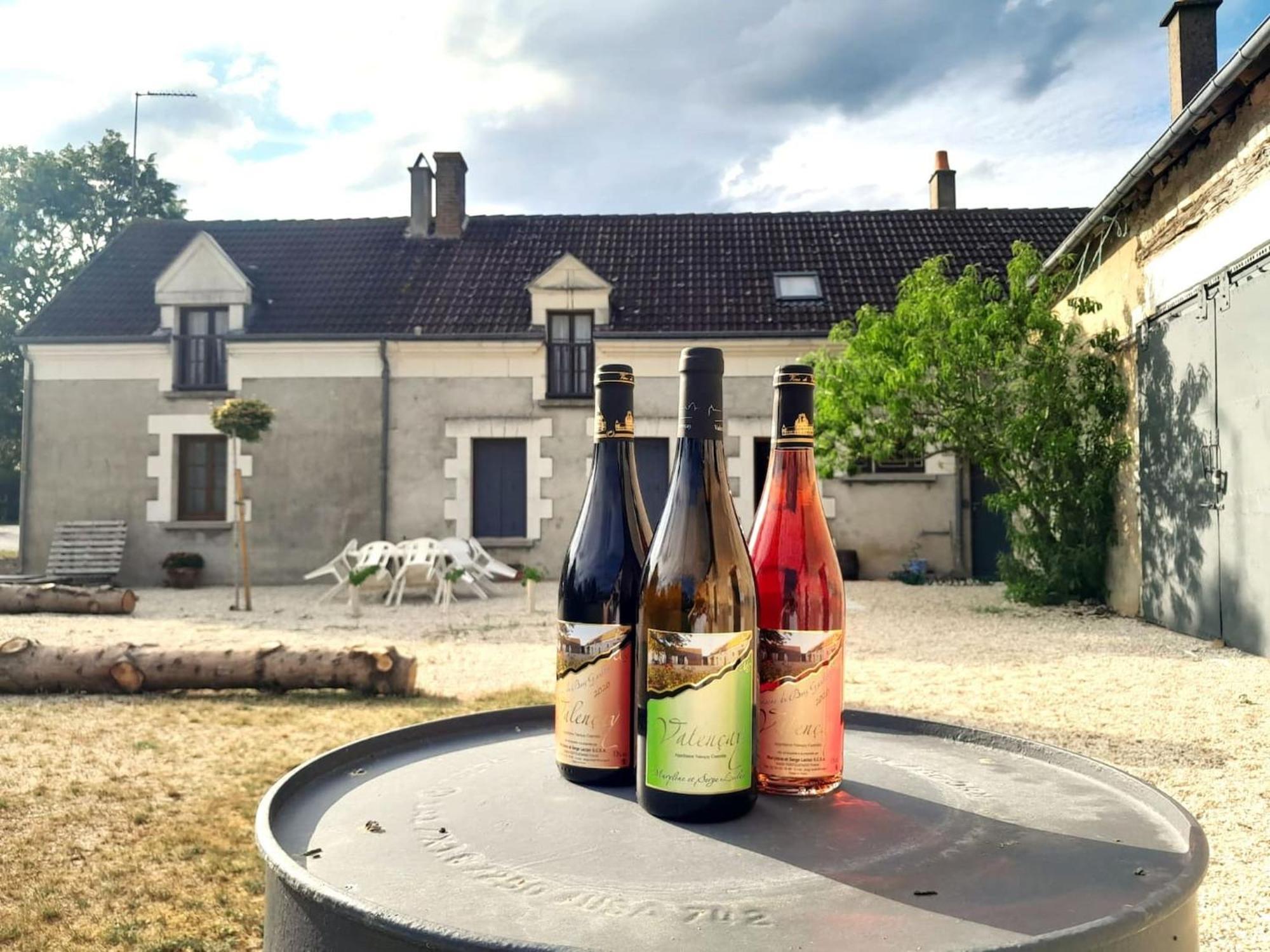 Villa Coco 9 Personnes Jardin Proche Beauval Lye Eksteriør billede